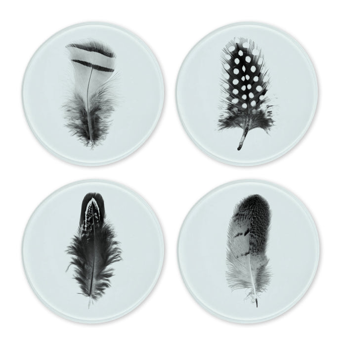 Glass Coasters (set of 4) - Feather