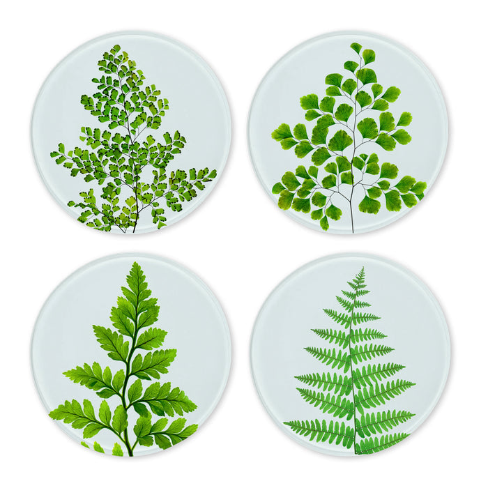 Glass Coasters (set of 4) - Ferns
