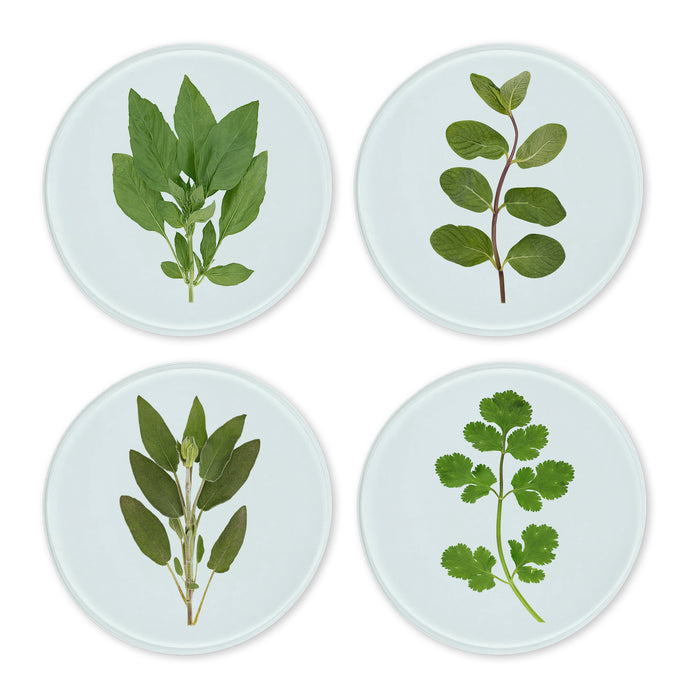 Glass Coasters (set of 4) - Herbs