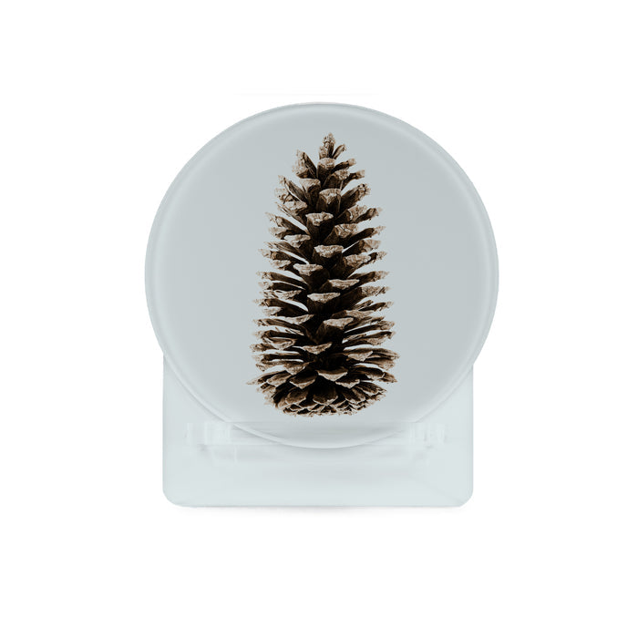 Glass Coasters (set of 4) - Pine Cones