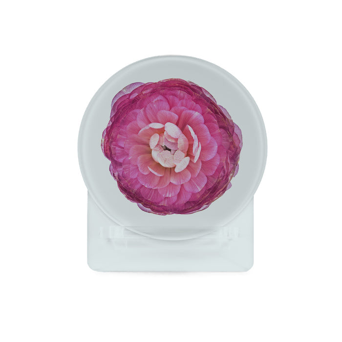 Glass Coasters (set of 4) - Ranunculus