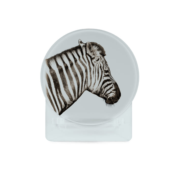 Glass Coasters (set of 4) - Safari