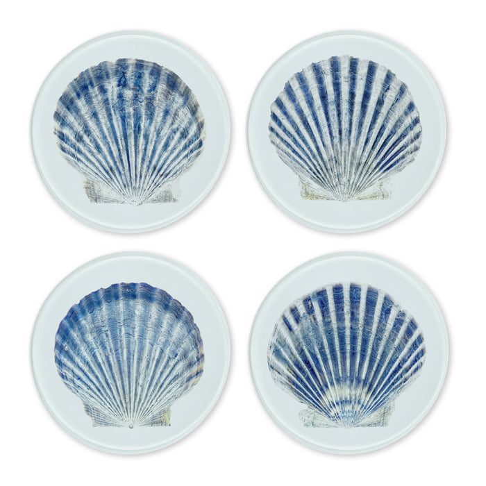 Glass Coasters (set of 4) - Scallop