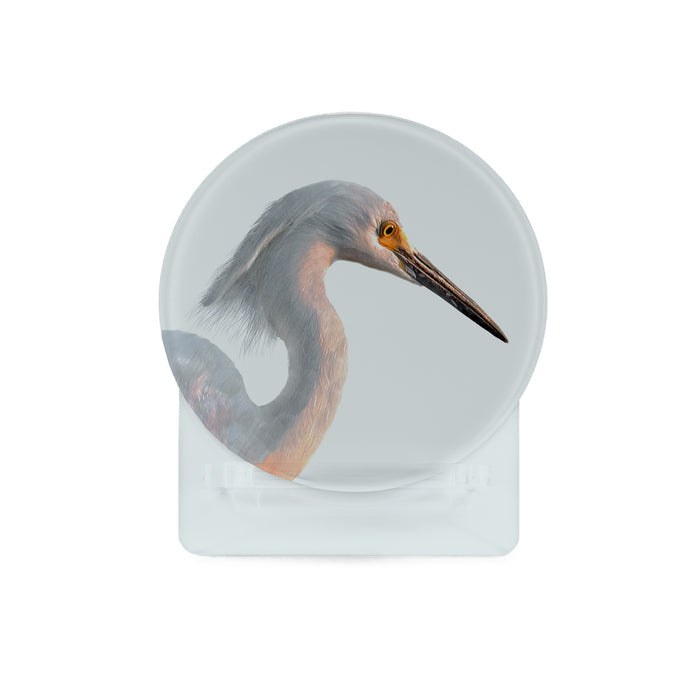 Glass Coasters (set of 4) - Shorebirds