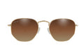 Gold - Brown Gradient Polarized - Bermuda