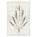 Grain Form natural forms wall art print — fine art natural forms photography on handmade paper, San Francisco