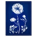 Graphite Rose blue print