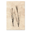 Grass Form