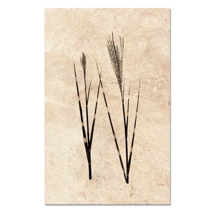 Grass Form
