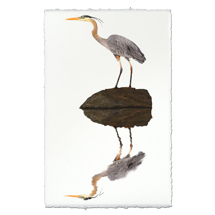 Great Blue Heron coastal wall art print — fine art coastal photography on handmade paper, San Francisco