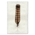 Grouse colored feather wall art print — fine art feather photography on handmade paper, San Francisco