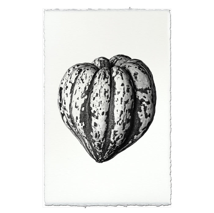 heirloom Squash