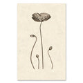Iceland Poppy - grand format - 40x60" single sheet rag (natural)