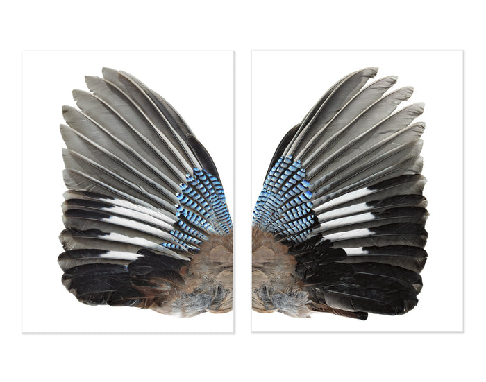 Jay Wing Diptych