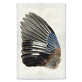 Jay Wing (Left) nature wall art print — fine art nature photography on handmade paper, San Francisco