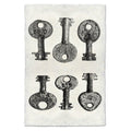 Key Study #15