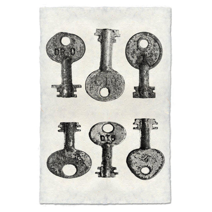 Key Study #15