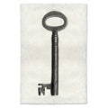 Key Study #5