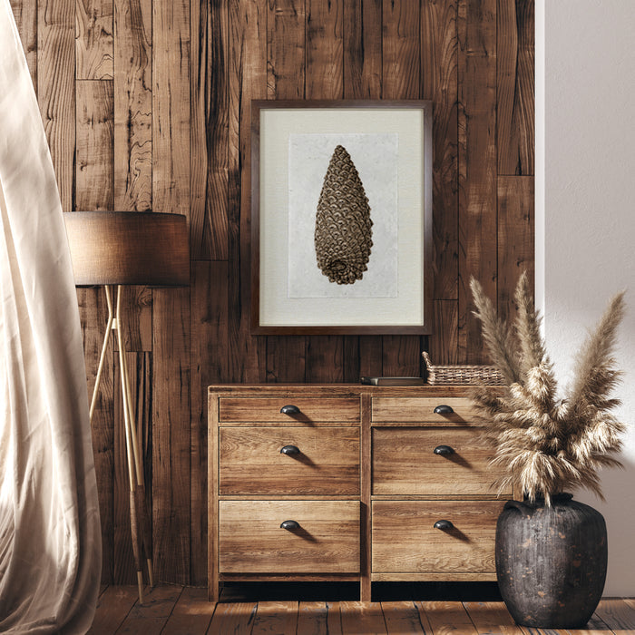 Knobcone Pine