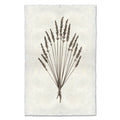 Lavender natural forms wall art print — fine art natural forms photography on handmade paper, San Francisco
