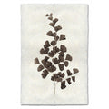 Leaf Study #1 natural forms wall art print — fine art natural forms photography on handmade paper, San Francisco