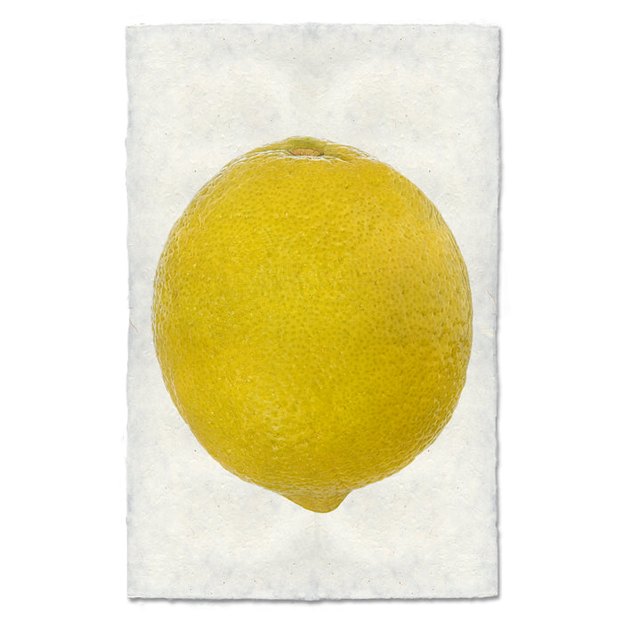 Lemon Half