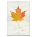 Maple fall leaves wall art print — fine art botanical photography on handmade paper, San Francisco