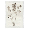 Milkweed natural forms wall art print — fine art natural forms photography on handmade paper, San Francisco