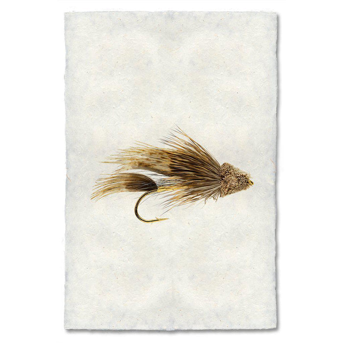 Muddler Minnow fly fishing wall art print — fine art fly fishing photography on handmade paper, San Francisco