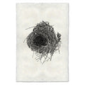 Nest Study #10 black and white wall art print — fine art black and white photography on handmade paper, San Francisco