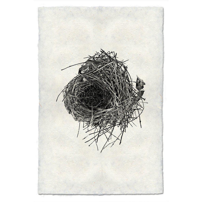 Nest Study #10 black and white wall art print — fine art black and white photography on handmade paper, San Francisco