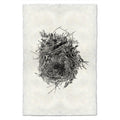 Nest Study #13 black and white wall art print — fine art black and white photography on handmade paper, San Francisco