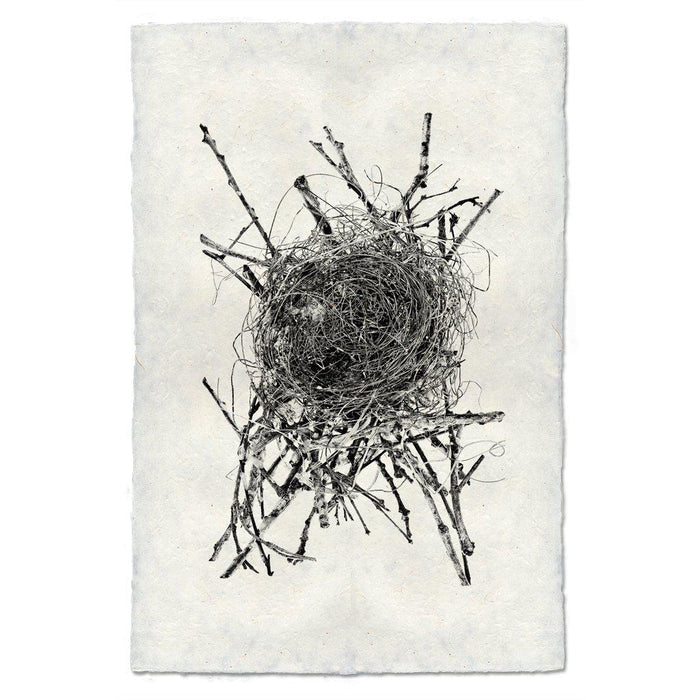 Nest Study #15 black and white wall art print — fine art black and white photography on handmade paper, San Francisco