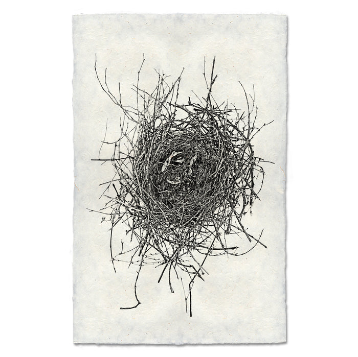 Nest Study #16 black and white wall art print — fine art black and white photography on handmade paper, San Francisco