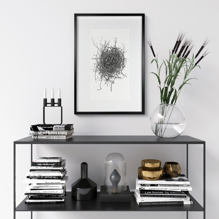 Nest Study #16
