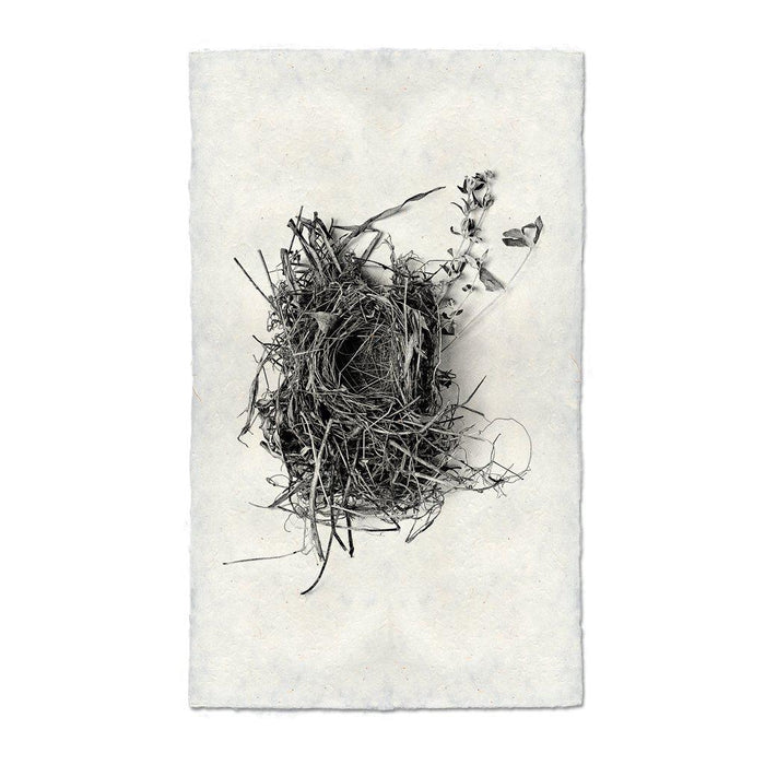 Nest Study #1 black and white wall art print — fine art black and white photography on handmade paper, San Francisco
