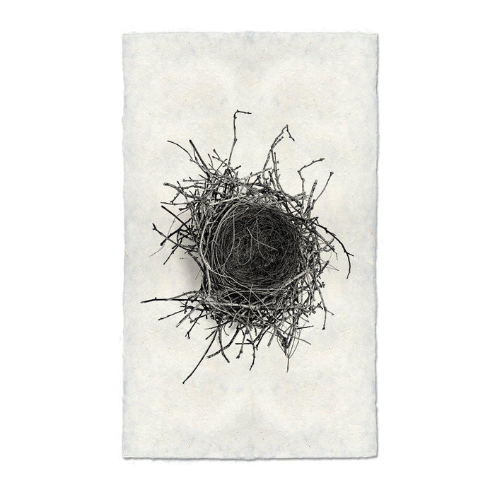 Nest Study #2 black and white wall art print — fine art black and white photography on handmade paper, San Francisco
