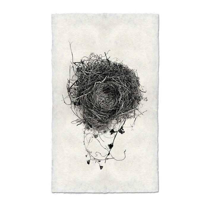Nest Study #3 black and white wall art print — fine art black and white photography on handmade paper, San Francisco