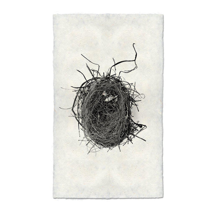 Nest Study #4 black and white wall art print — fine art black and white photography on handmade paper, San Francisco
