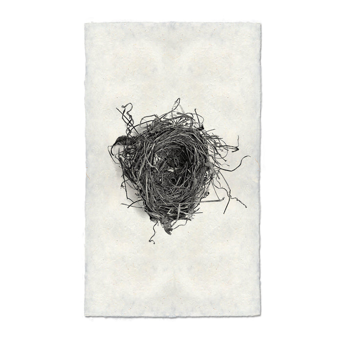 Nest Study #5 black and white wall art print — fine art black and white photography on handmade paper, San Francisco