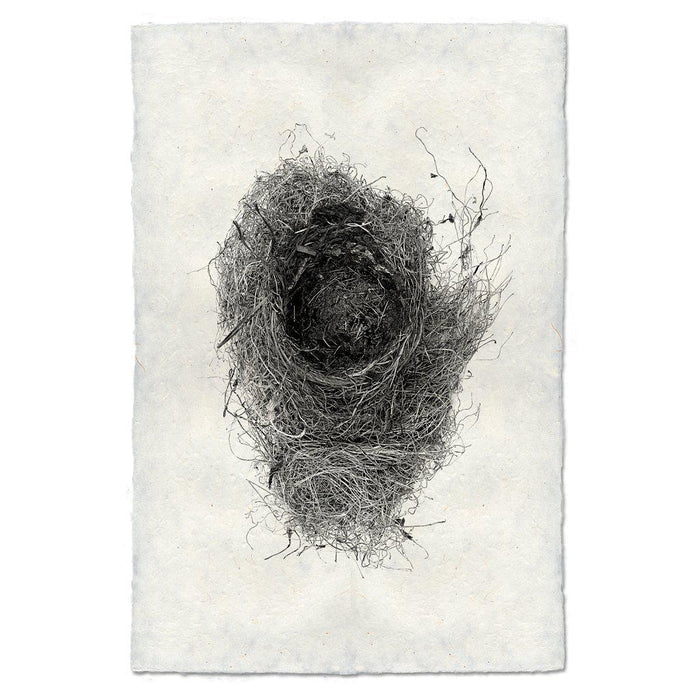 Nest Study #6 black and white wall art print — fine art black and white photography on handmade paper, San Francisco