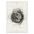 Nest Study #7 black and white wall art print — fine art black and white photography on handmade paper, San Francisco