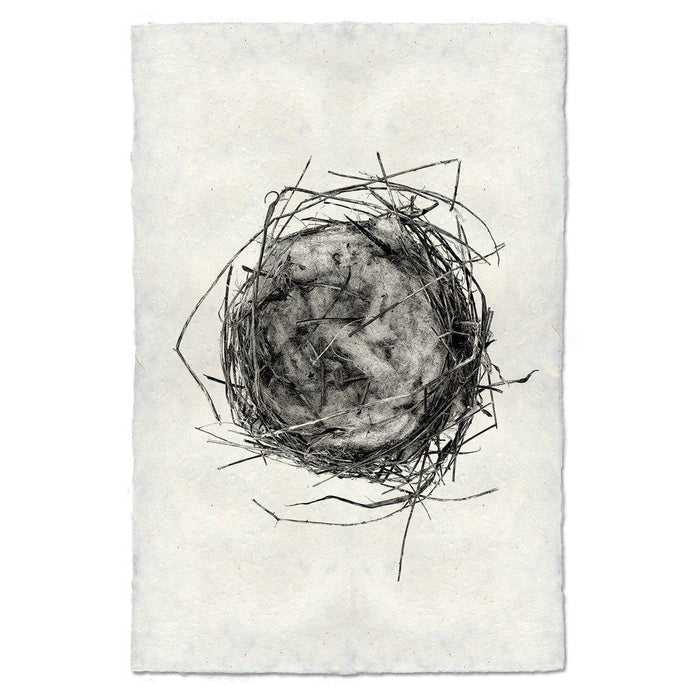 Nest Study #7 black and white wall art print — fine art black and white photography on handmade paper, San Francisco