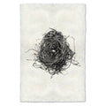 Nest Study #8 black and white wall art print — fine art black and white photography on handmade paper, San Francisco