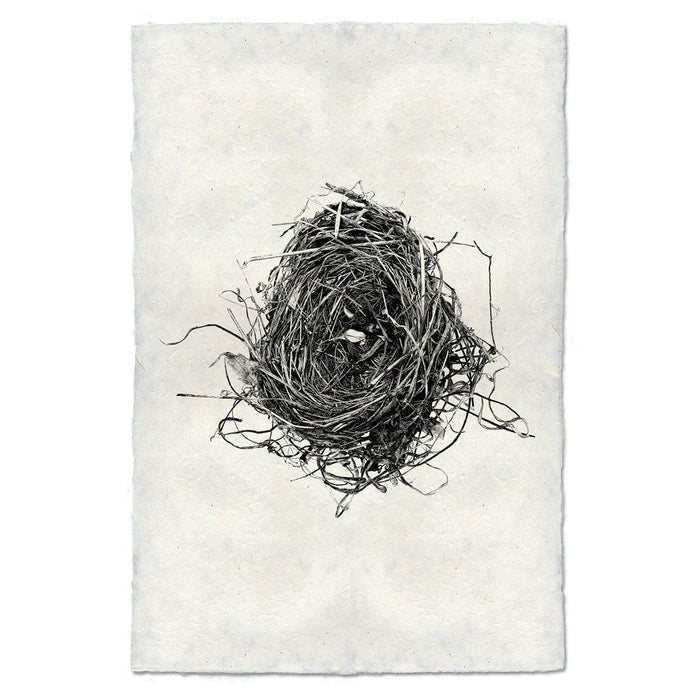 Nest Study #8 black and white wall art print — fine art black and white photography on handmade paper, San Francisco