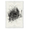 Nest Study #9 black and white wall art print — fine art black and white photography on handmade paper, San Francisco