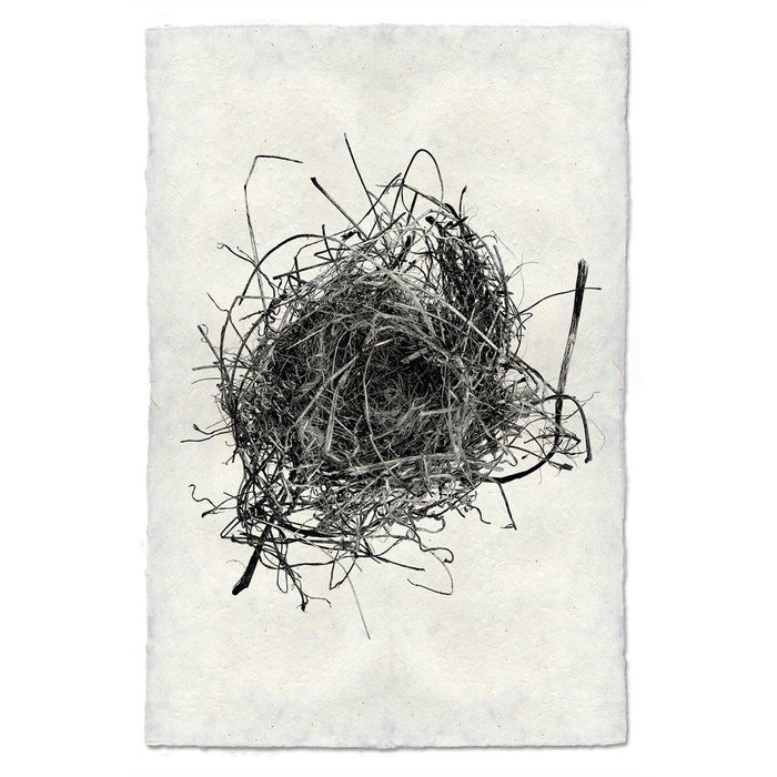 Nest Study #9 black and white wall art print — fine art black and white photography on handmade paper, San Francisco