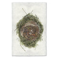 Nested In Lichen bird's nest wall art print — fine art avian photography on handmade paper, San Francisco