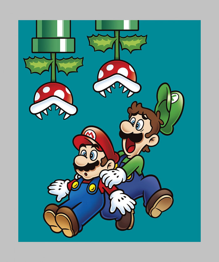Nintendo Mario Bros Jump Panel approx. 36in x 44in Fabric by the panel