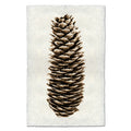 Norway Spruce earthy wall art print — fine art Organic photography on handmade paper, San Francisco